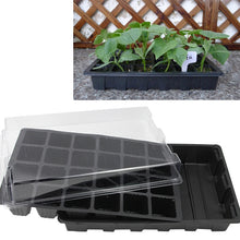 Load image into Gallery viewer, Seedling Tray Sprout Plate 24 Holes Nursery Pots Tray Lids Box For Gardening Bonsai Mini Greenhouse Nursery Plate Three Sets, 2 PCS