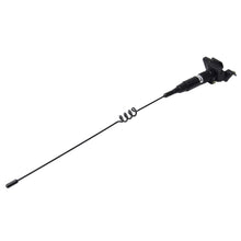 Load image into Gallery viewer, Universal Car Decoration Extensile Aerial Clip Side Car Modified To Remove Static Electricity Aerial, Length: 43cm, Length: 43cm