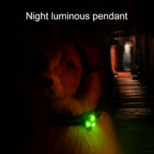 Load image into Gallery viewer, LED Night Light Pet Safety Collar Silicone Pendant