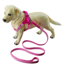 Load image into Gallery viewer, Microfiber Glasses Style Breathable Dog Chest  Strap, Size: L, Size: L