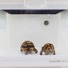 Load image into Gallery viewer, Digital Round Shaped Reptile Box Centigrade Thermometer &amp; Hygrometer with Screen Display