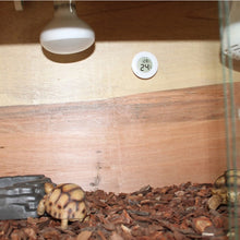 Load image into Gallery viewer, Digital Round Shaped Reptile Box Centigrade Thermometer &amp; Hygrometer with Screen Display