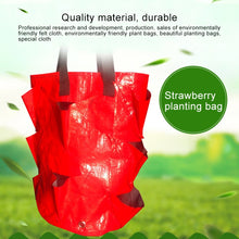Load image into Gallery viewer, CMD-3 3 Gallon Hanging Strawberry PE Planting Bag Horticultural Flower Planting Bag