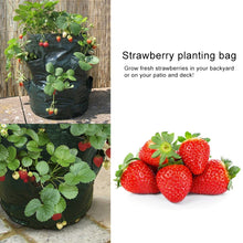 Load image into Gallery viewer, CMD-3 3 Gallon Hanging Strawberry PE Planting Bag Horticultural Flower Planting Bag