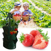 Load image into Gallery viewer, CMD-3 3 Gallon Hanging Strawberry PE Planting Bag Horticultural Flower Planting Bag