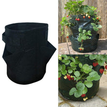 Load image into Gallery viewer, 3 Pockets 18L / 5 Gallon Non-woven Felt Strawberry Planting Bag, Size: 23X28cm, Size: 23X28cm