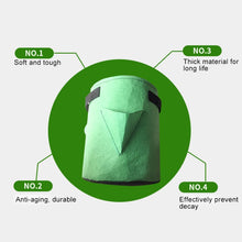 Load image into Gallery viewer, 3 Pockets 18L / 5 Gallon Non-woven Felt Strawberry Planting Bag, Size: 23X28cm, Size: 23X28cm