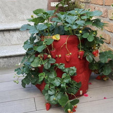 Load image into Gallery viewer, 3 Pockets 18L / 5 Gallon Non-woven Felt Strawberry Planting Bag, Size: 23X28cm, Size: 23X28cm