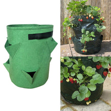 Load image into Gallery viewer, 3 Pockets 18L / 5 Gallon Non-woven Felt Strawberry Planting Bag, Size: 23X28cm, Size: 23X28cm