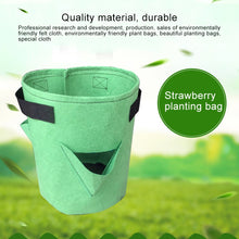 Load image into Gallery viewer, 6 Pockets 26L / 7 Gallon Non-woven Felt Strawberry Planting Bag, Size: 30X35cm, Size: 30X35cm