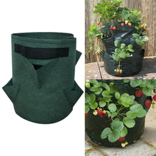 Load image into Gallery viewer, 6 Pockets 26L / 7 Gallon Non-woven Felt Strawberry Planting Bag, Size: 30X35cm, Size: 30X35cm