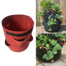 Load image into Gallery viewer, 6 Pockets 26L / 7 Gallon Non-woven Felt Strawberry Planting Bag, Size: 30X35cm, Size: 30X35cm