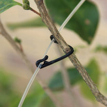 Load image into Gallery viewer, 100 PCS / 2 Packs Gardening Vine Grape Tied Tie Strap, 100 PCS / 2 Packs
