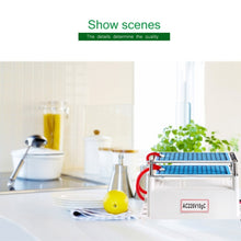 Load image into Gallery viewer, High Temperature Ceramic Plate Integrated Ozone Generator 220V 10g Air Purifier, AC 220V 10G