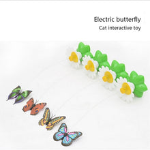 Load image into Gallery viewer, Electric Butterfly Flying Around The Flower Pet Cat Toy, Flower Pet Cat Toy