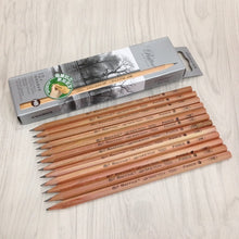 Load image into Gallery viewer, 12pcs Drawing Writing Sketch Wooden Pencil Pre-sharpened HB Art Graphite Pencils, HB