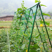 Load image into Gallery viewer, Plants Climb Rattan Frame Adornment Flower Rack Flowers Plants Craft Hanging Decor Gardening Net,Size:1.8 x 2.7m, 1.8 x 2.7m