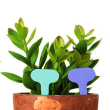 Load image into Gallery viewer, 100PCS Floral Label Gardening Label Waterproof small card Insert Label Potted Label,Random Color Delivery, Plant Label 3