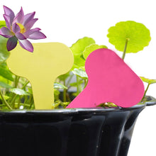 Load image into Gallery viewer, 100PCS Floral Label Gardening Label Waterproof small card Insert Label Potted Label,Random Color Delivery, Plant Label 3