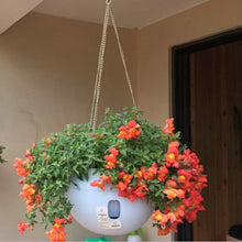 Load image into Gallery viewer, Hanging Plastic Flower Pots Hanging Pots Flower Pot With Hanging Chain,Large Size: 24 x 18cm ,Random Color Delivery, Large Size