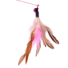 Load image into Gallery viewer, Steel Wire Teasing Feather Wand Pet Toy, Steel Wire
