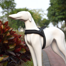 Load image into Gallery viewer, Pet Dogs A7 Reflective Polyester Chest Harness Lead Leash Traction Big Dogs Safety Chain Rope Collar, Size: XS, 2.0*42*50cm, Size: XS, 2.0*42*50cm