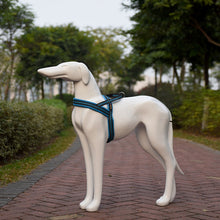 Load image into Gallery viewer, Pet Dogs A7 Reflective Polyester Chest Harness Lead Leash Traction Big Dogs Safety Chain Rope Collar, Size: L, 2.5*68*84cm, Size: L, 2.5*68*84cm