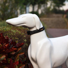 Load image into Gallery viewer, Pet Dogs Polyester Reflective Breathable Pets Collar Traction Lead Leash, Size: L, 2.5*47*54cm, Size: L, 2.5*47*54cm