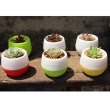 Load image into Gallery viewer, Colourful Mini Round Plastic Plant Flower Pot Garden Home Office Decoration Nursery Pots  Plant Flowerpot with Water Tank, Random Color Delivery, Flower Pot 3