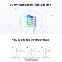 Load image into Gallery viewer, HUAWEI Lebooo LBS-T053A 2 PCS Smart Toothbrush Head (for HCB0001), LBS-T053A Toothbrush Head (Black), LBS-T053A Toothbrush Head (White)