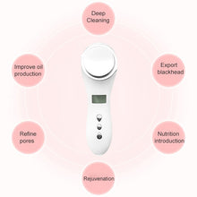 Load image into Gallery viewer, Multi-functional Household Beauty and Body Apparatus Facial Ion Importer