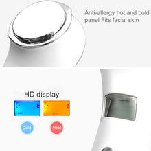 Load image into Gallery viewer, Multi-functional Household Beauty and Body Apparatus Facial Ion Importer