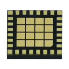 Power Amplifier IC 77592-21