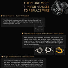 Load image into Gallery viewer, KZ ZST Circle Iron In-ear Mega Bass MP3 Dual Unit Earphone without Microphone