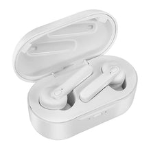 Load image into Gallery viewer, DT-5 IPX Waterproof Bluetooth 5.0 Wireless Bluetooth Earphone with Magnetic Charging Box, Support Call &amp; Power Bank Function, DT-5