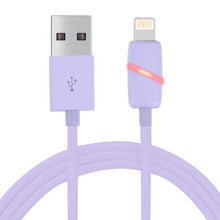 Load image into Gallery viewer, 1m Circular Bobbin Gift Box Style 8 Pin to USB Data Sync Cable with Indicator for iPhone, iPad