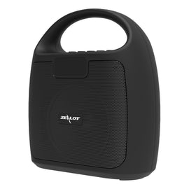 ZEALOT S42 Portable FM Radio Wireless Bluetooth Speaker with Built-in Mic, Support Hands-Free Call & TF Card & AUX