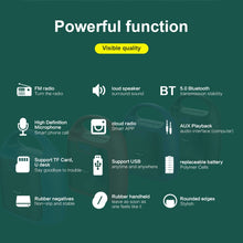 Load image into Gallery viewer, ZEALOT S42 Portable FM Radio Wireless Bluetooth Speaker with Built-in Mic, Support Hands-Free Call &amp; TF Card &amp; AUX