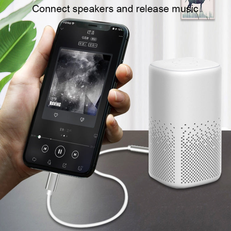 8 Pin to 3.5mm AUX Audio Adapter Cable, Length: 1m