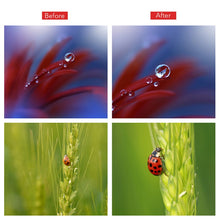 Load image into Gallery viewer, APEXEL APL-HB10X Macro Lens Telephoto Clip + Star Light Filter + CPL Phone Lens Kit