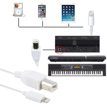 Load image into Gallery viewer, 1m 8 Pin to Type-B Male Piano / Electronic Piano Cable MIDI Cable Adapter
