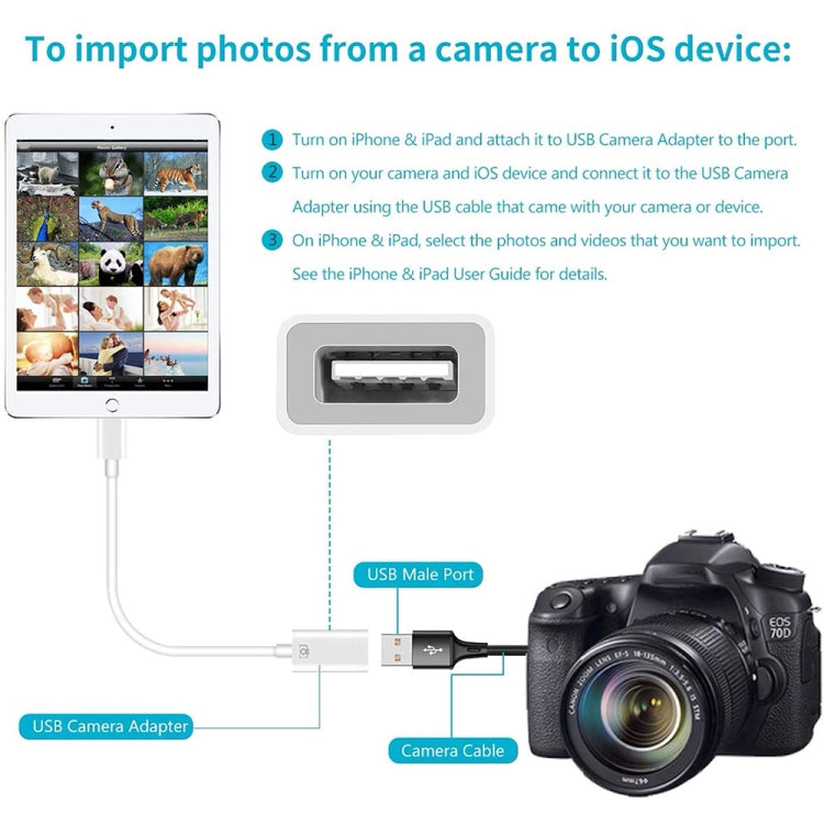 8 Pin to Single USB Port Camera Adapter