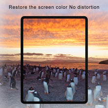 Load image into Gallery viewer, 0.33mm 9H 2.5D Privacy Anti-glare Explosion-proof Tempered Glass Film for iPad Pro 10.5 (2017) / iPad Air (2019)