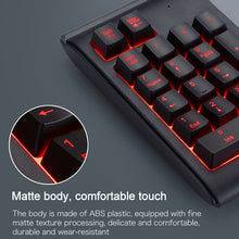 Load image into Gallery viewer, MC Saite 529 19 Keys Wired Three-color Backlight Numeric Keyboard