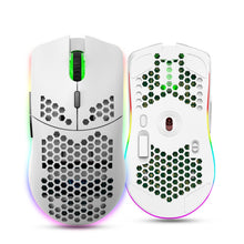 Load image into Gallery viewer, HXSJ T66 7 Keys Colorful Lighting Programmable Gaming Wireless Mouse, T66(White), T66(Black)