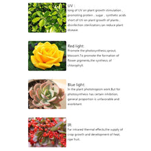 Load image into Gallery viewer, 225 LEDs Greenhouse Light Aquarium Light, AC 85-265V, 45W/SMD 2835