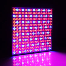 Load image into Gallery viewer, 225 LEDs Greenhouse Light Aquarium Light, AC 85-265V, 45W/SMD 2835