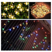 Load image into Gallery viewer, 6m 40 LEDs Cherry Blossom  Holiday Decorative Light, Battery Powered, 6m Colorful Light, 6m Warm White Light