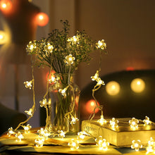 Load image into Gallery viewer, 6m 40 LEDs Cherry Blossom  Holiday Decorative Light, Battery Powered, 6m Colorful Light, 6m Warm White Light