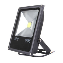 Load image into Gallery viewer, 2700LM Lamp, AC 85-265V, 30W/2700LM White, 30W/2700LM Warm White